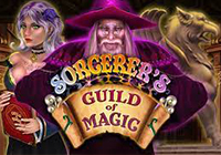 Sorcerer`s Guild of Magic