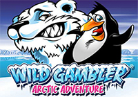 Wild Gambler 2 : Arctic Adventure