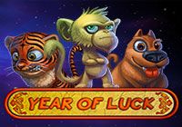 Year of luck
